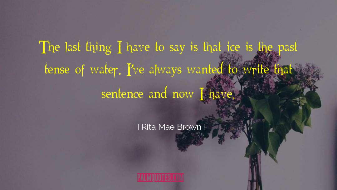 Rita Mae Brown Quotes: The last thing I have