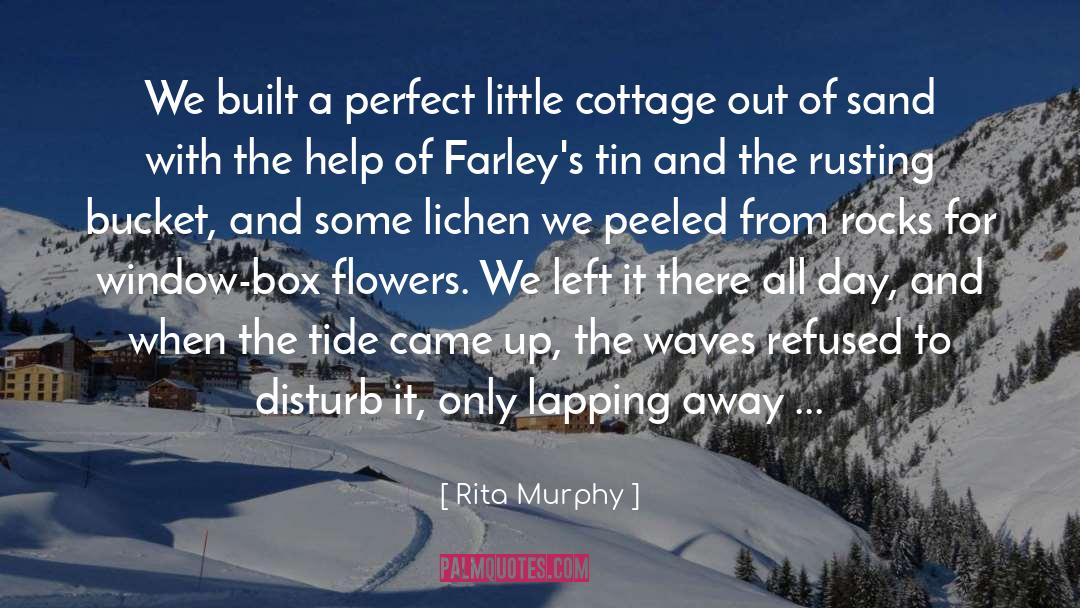 Rita Murphy Quotes: We built a perfect little
