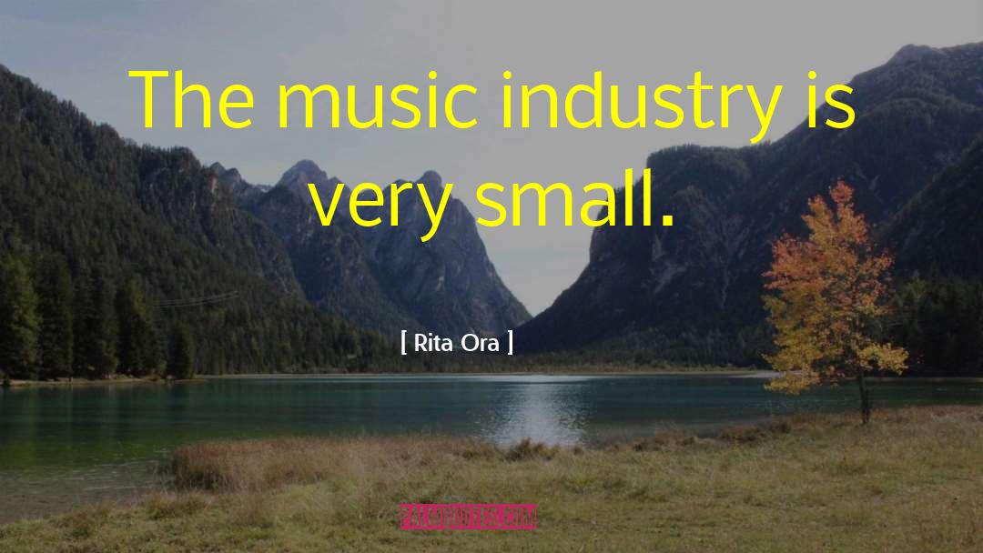 Rita Ora Quotes: The music industry is very