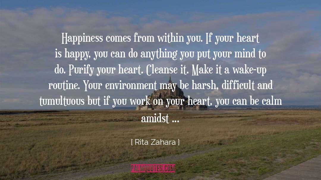 Rita Zahara Quotes: Happiness comes from within you.