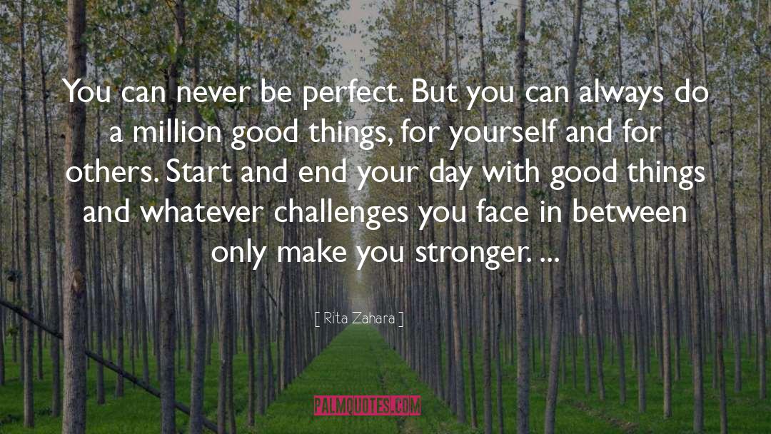 Rita Zahara Quotes: You can never be perfect.