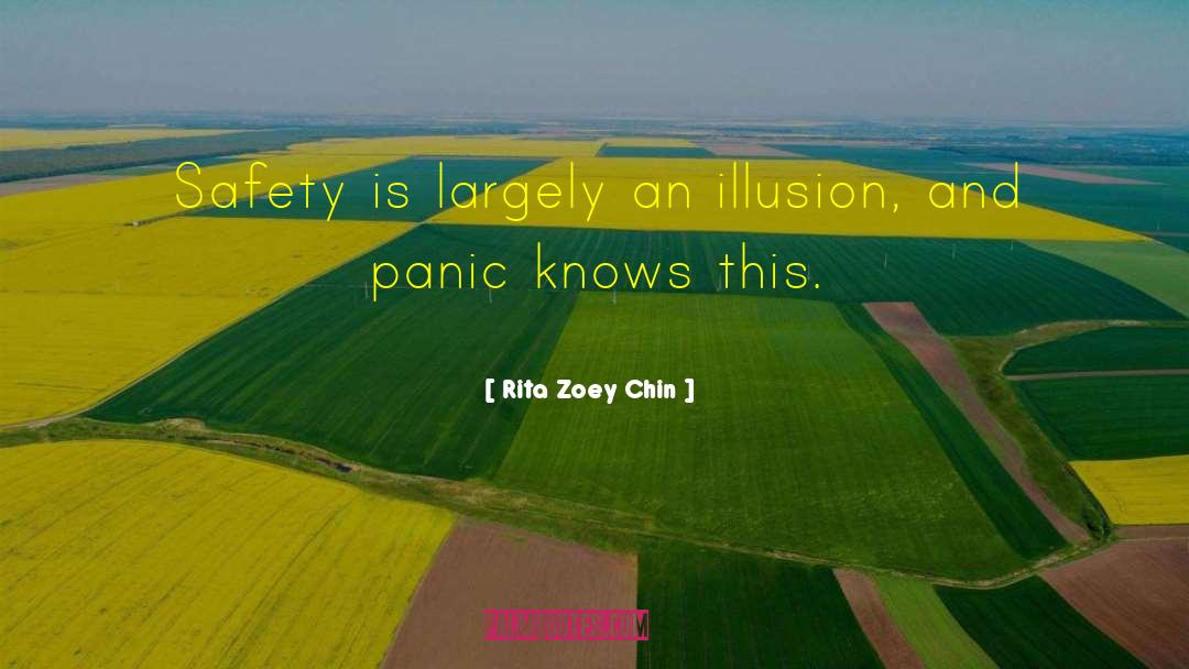 Rita Zoey Chin Quotes: Safety is largely an illusion,