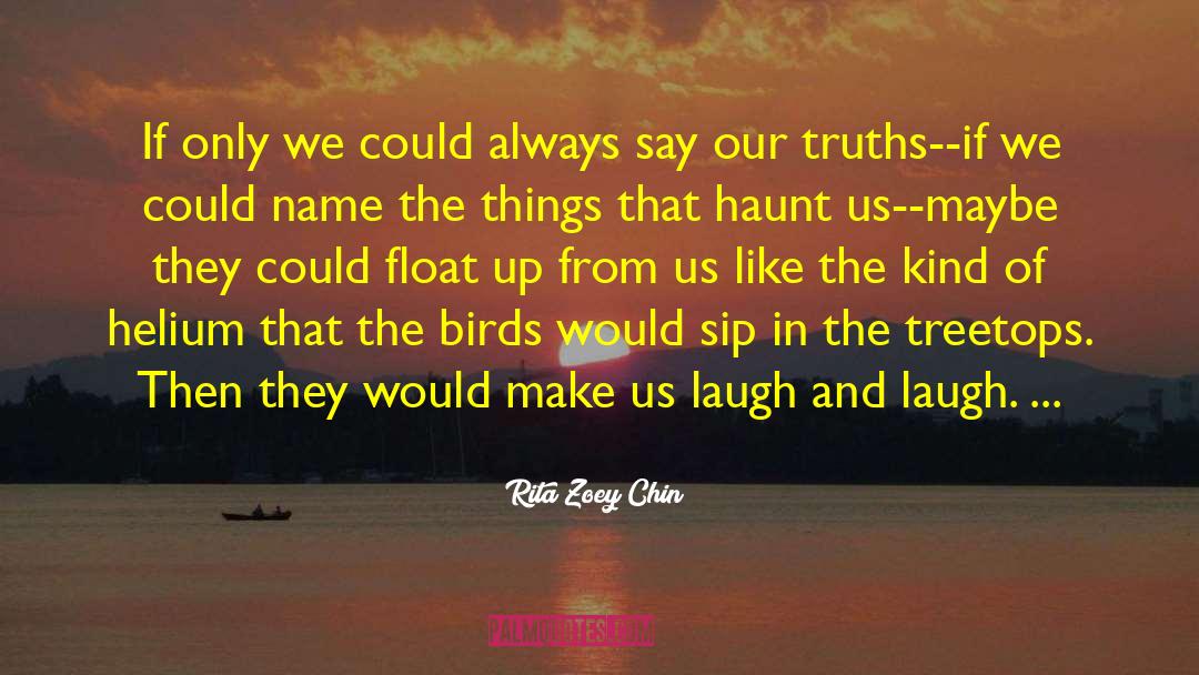 Rita Zoey Chin Quotes: If only we could always