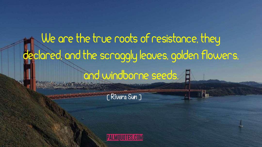 Rivera Sun Quotes: We are the true roots