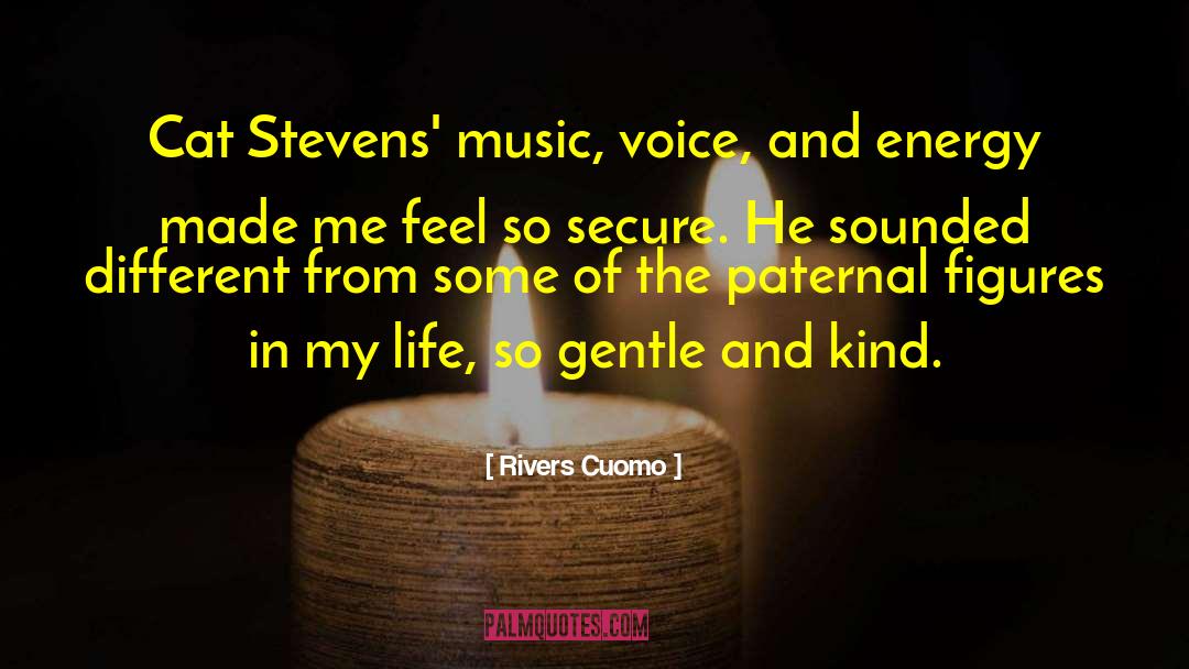 Rivers Cuomo Quotes: Cat Stevens' music, voice, and