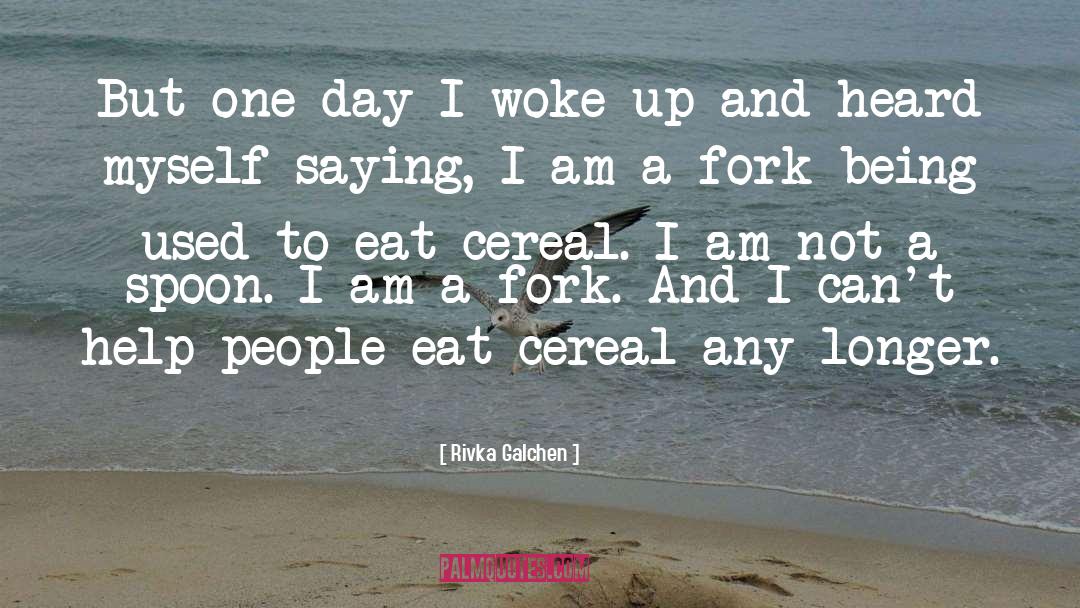Rivka Galchen Quotes: But one day I woke