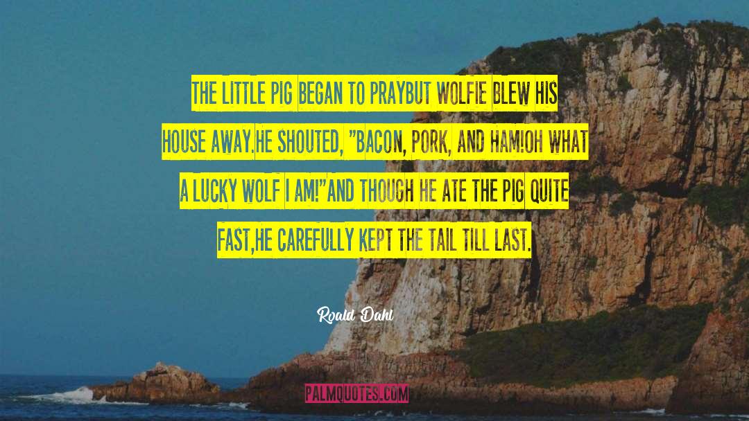 Roald Dahl Quotes: The little pig began to