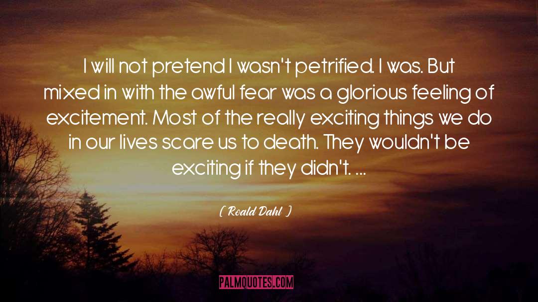 Roald Dahl Quotes: I will not pretend I