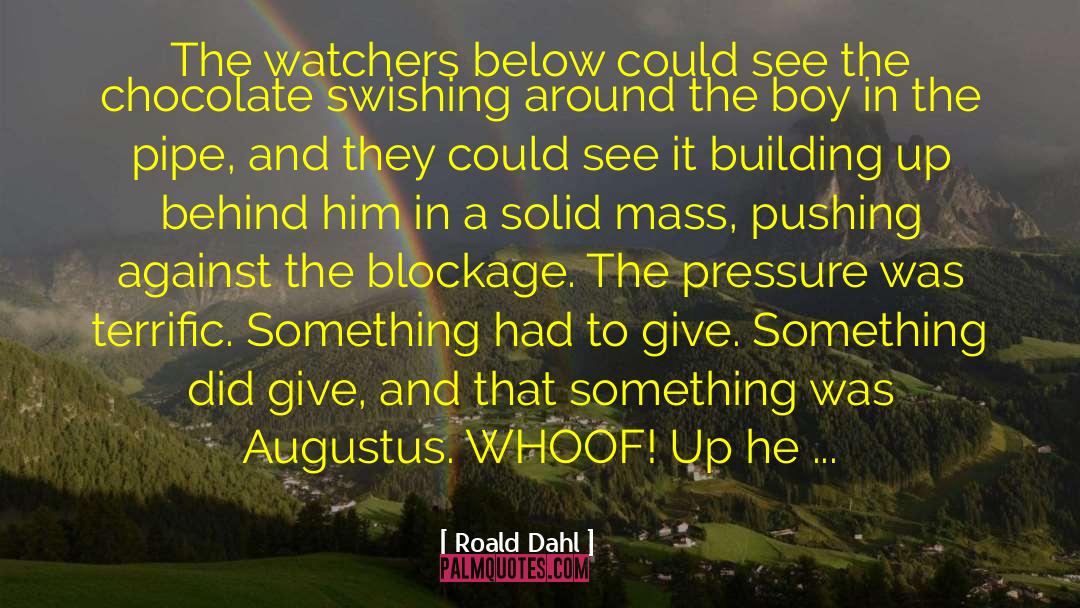 Roald Dahl Quotes: The watchers below could see