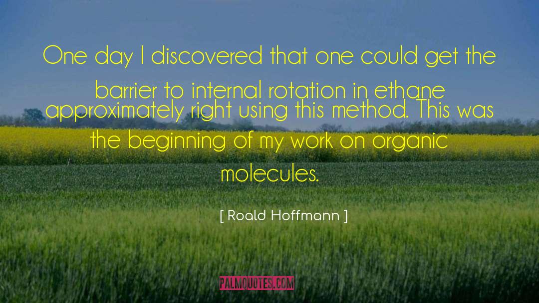Roald Hoffmann Quotes: One day I discovered that