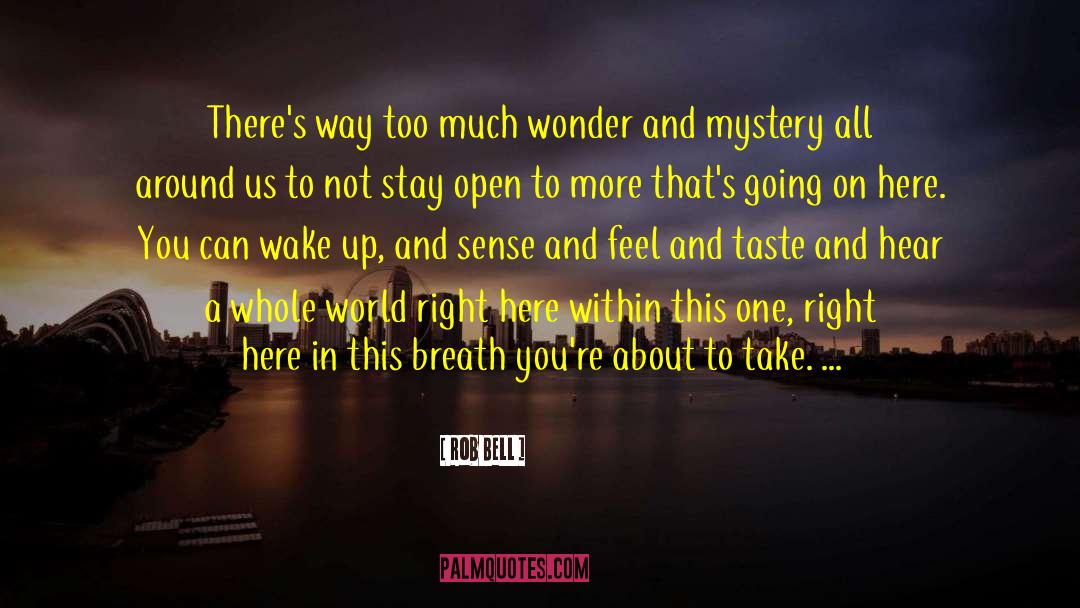 Rob Bell Quotes: There's way too much wonder