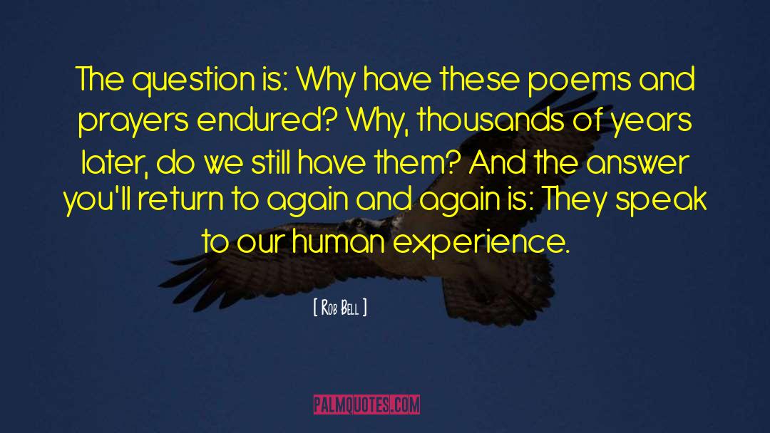 Rob Bell Quotes: The question is: Why have