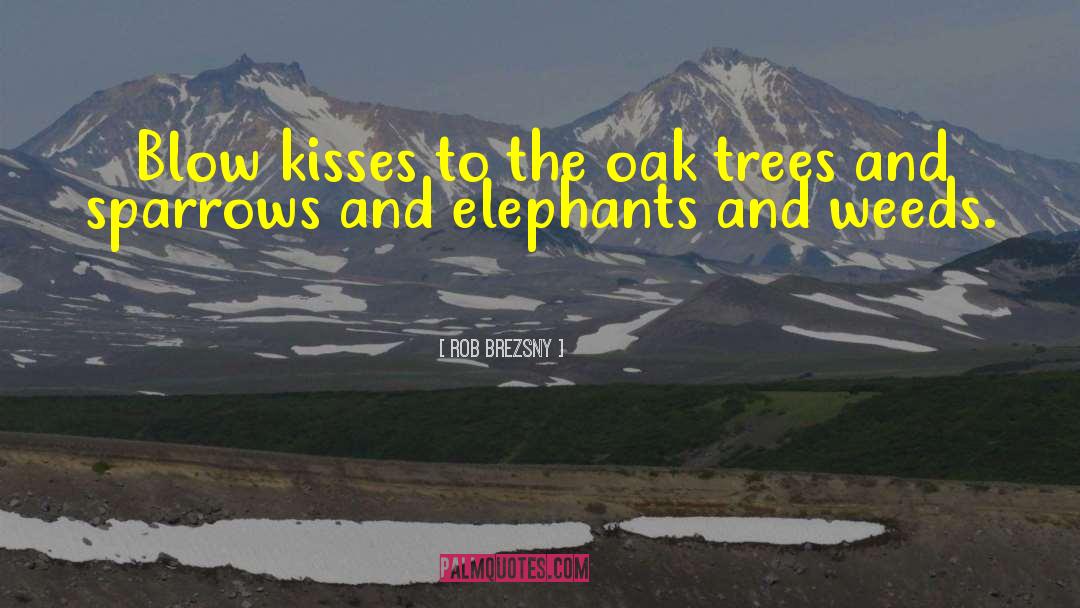 Rob Brezsny Quotes: Blow kisses to the oak