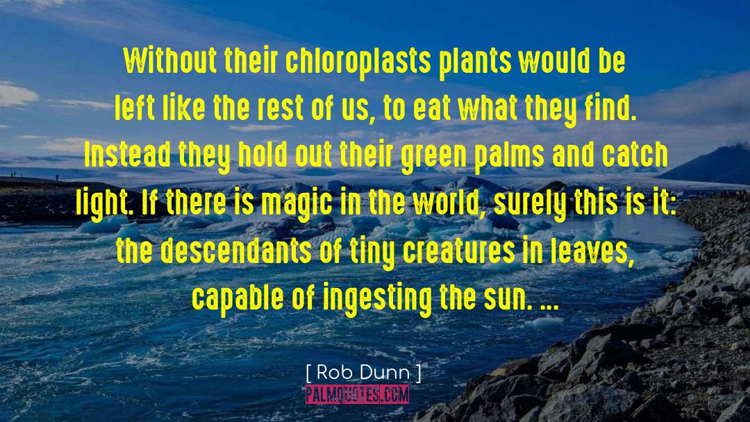 Rob Dunn Quotes: Without their chloroplasts plants would