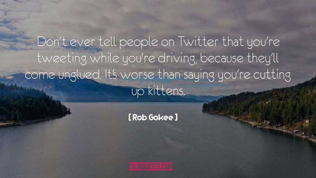 Rob Gokee Quotes: Don't ever tell people on
