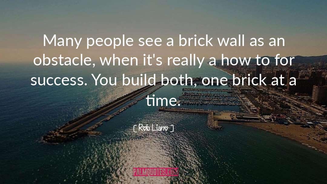 Rob Liano Quotes: Many people see a brick