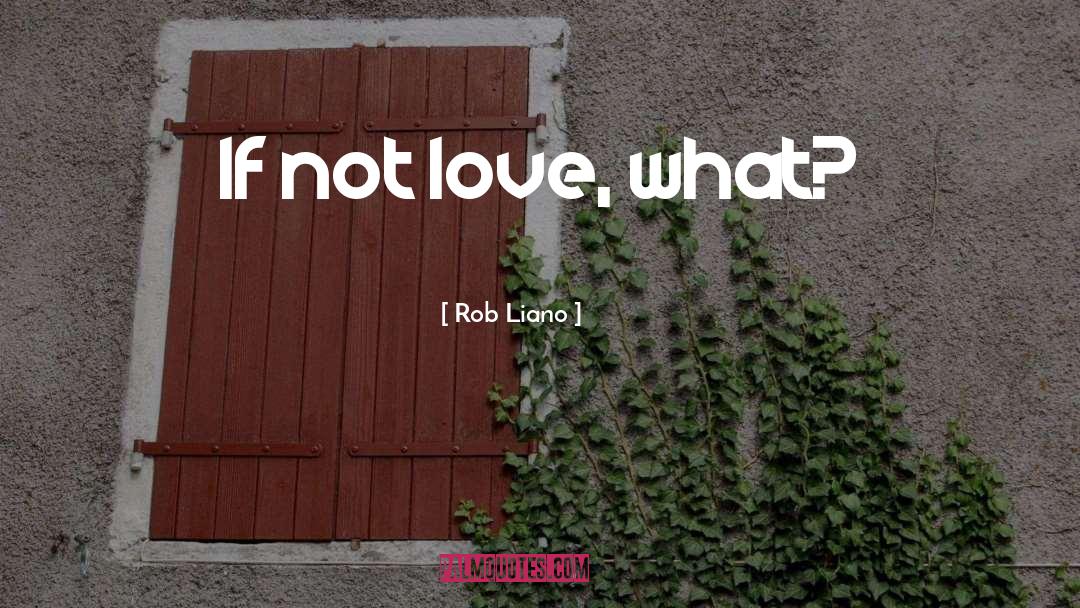 Rob Liano Quotes: If not love, what?