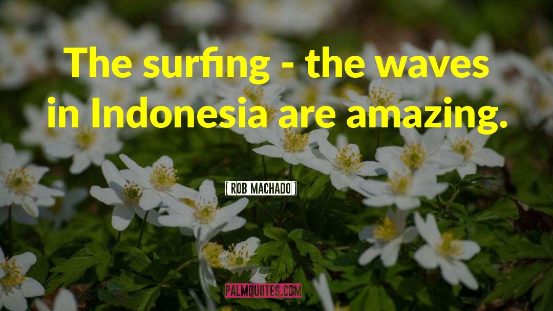 Rob Machado Quotes: The surfing - the waves