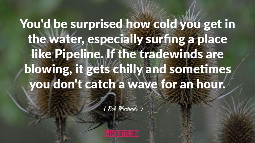 Rob Machado Quotes: You'd be surprised how cold