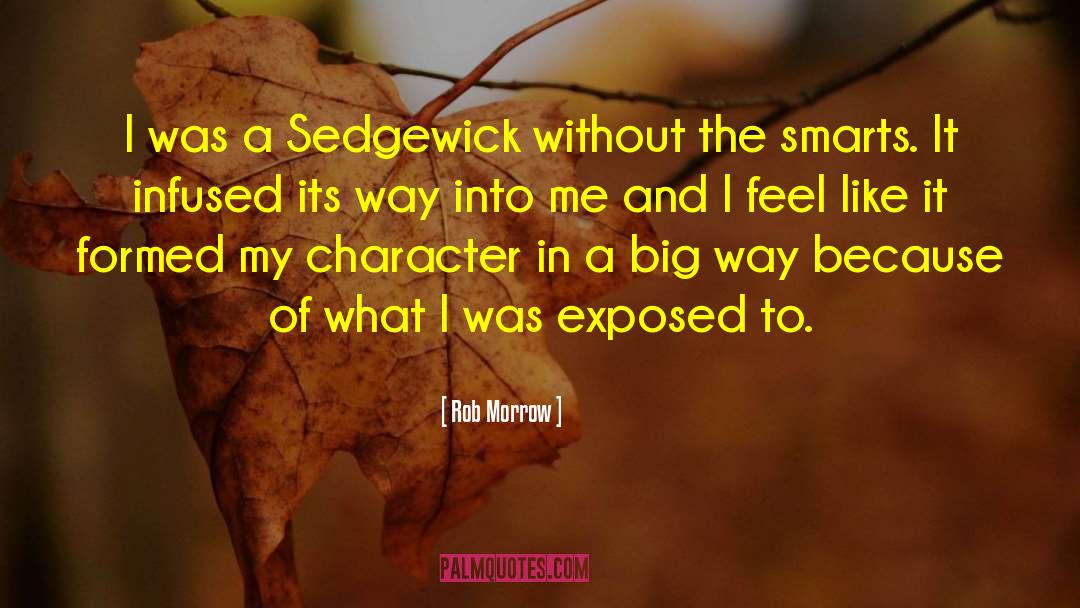 Rob Morrow Quotes: I was a Sedgewick without