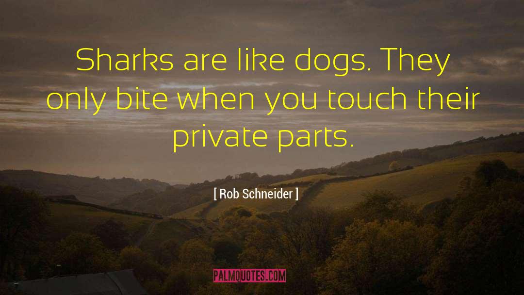 Rob Schneider Quotes: Sharks are like dogs. They