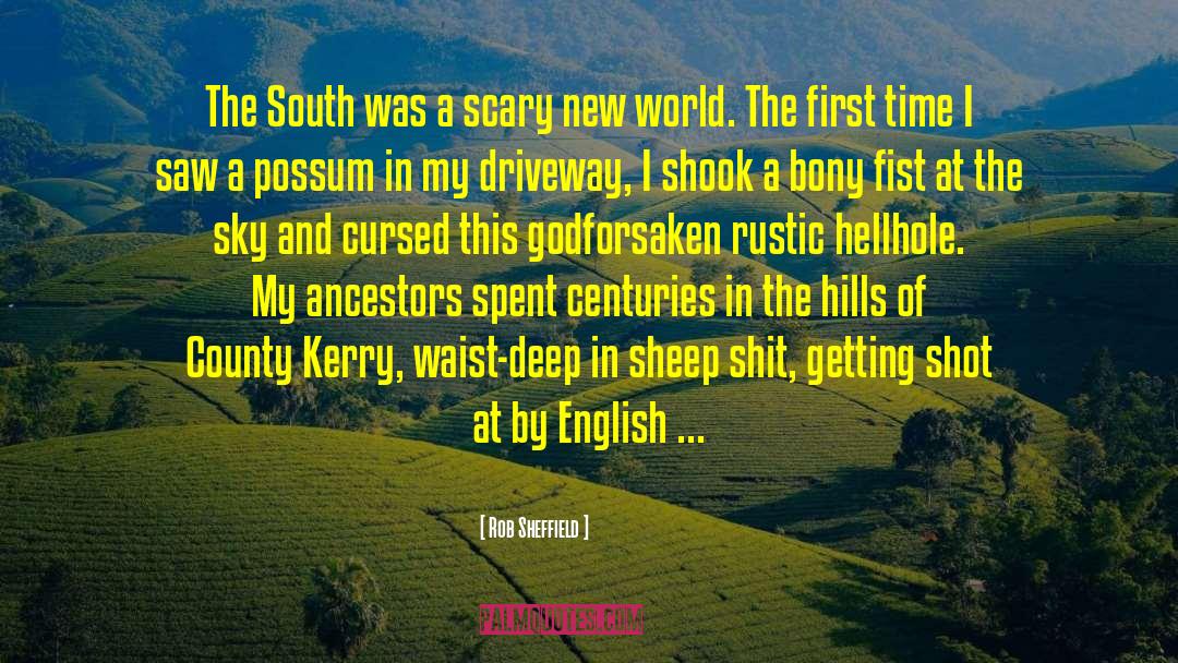 Rob Sheffield Quotes: The South was a scary