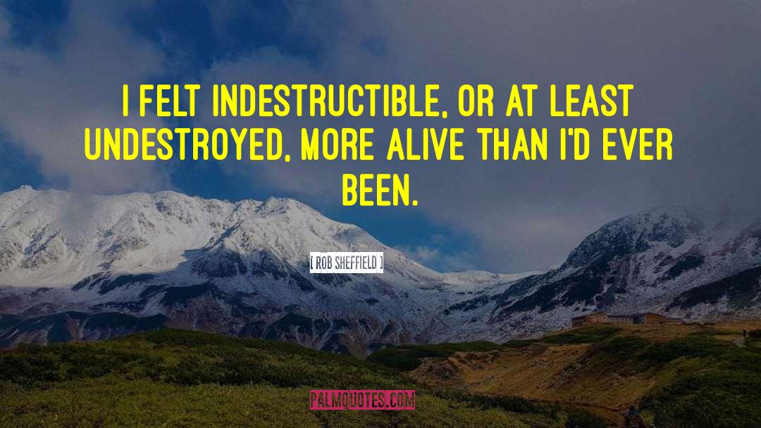 Rob Sheffield Quotes: I felt indestructible, or at