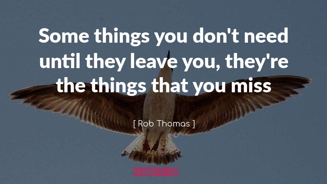 Rob Thomas Quotes: Some things you don't need