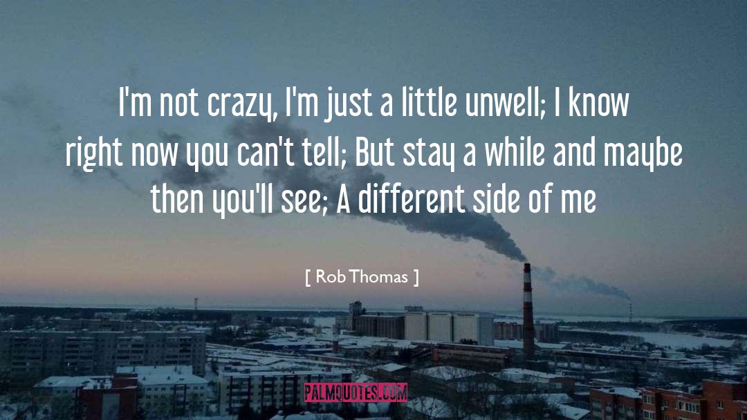 Rob Thomas Quotes: I'm not crazy, I'm just