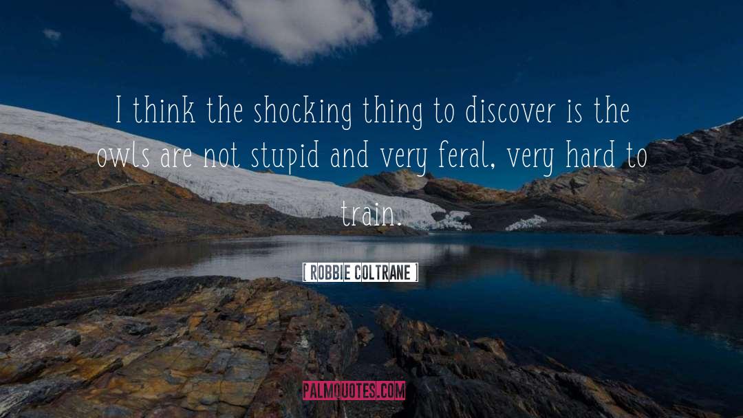 Robbie Coltrane Quotes: I think the shocking thing