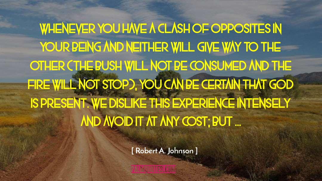 Robert A. Johnson Quotes: Whenever you have a clash