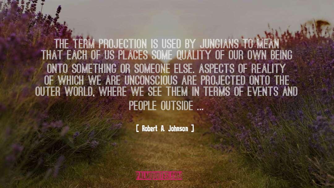 Robert A. Johnson Quotes: The term projection is used