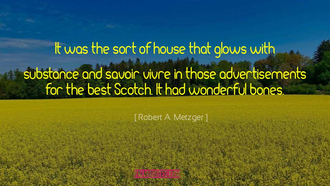 Robert A. Metzger Quotes: It was the sort of