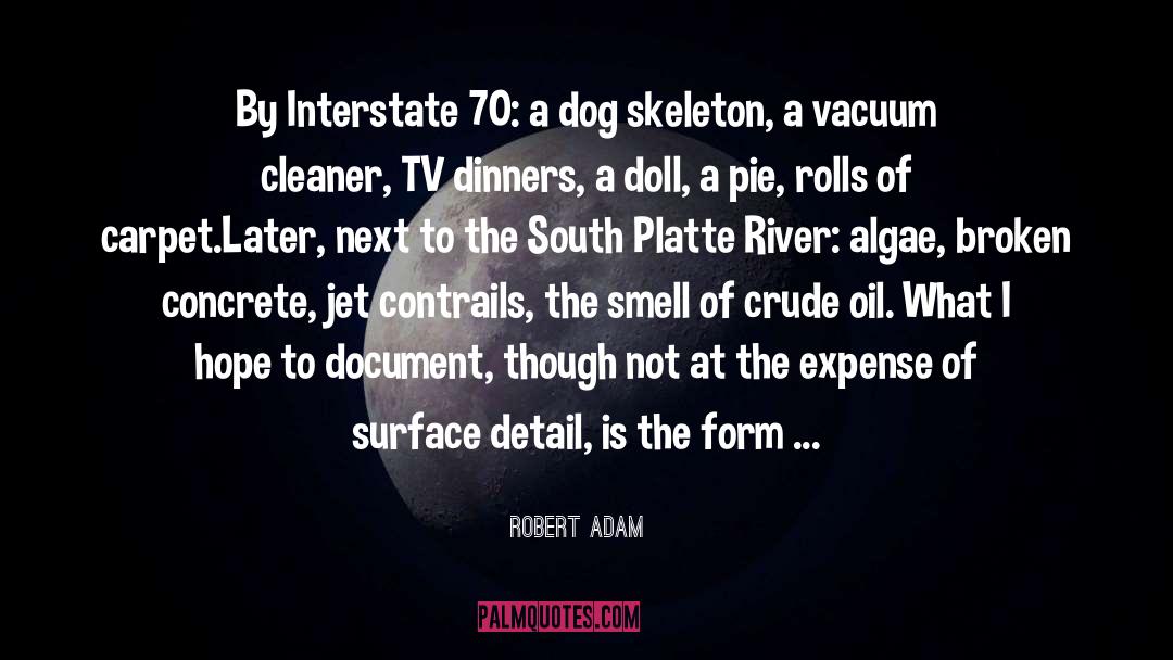 Robert Adam Quotes: By Interstate 70: a dog