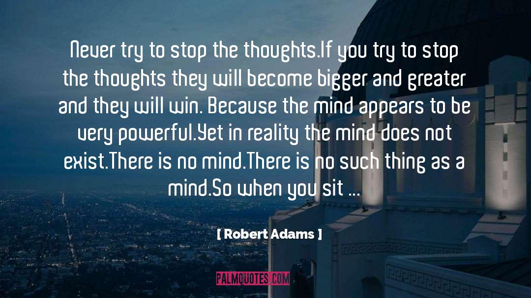 Robert Adams Quotes: Never try to stop the
