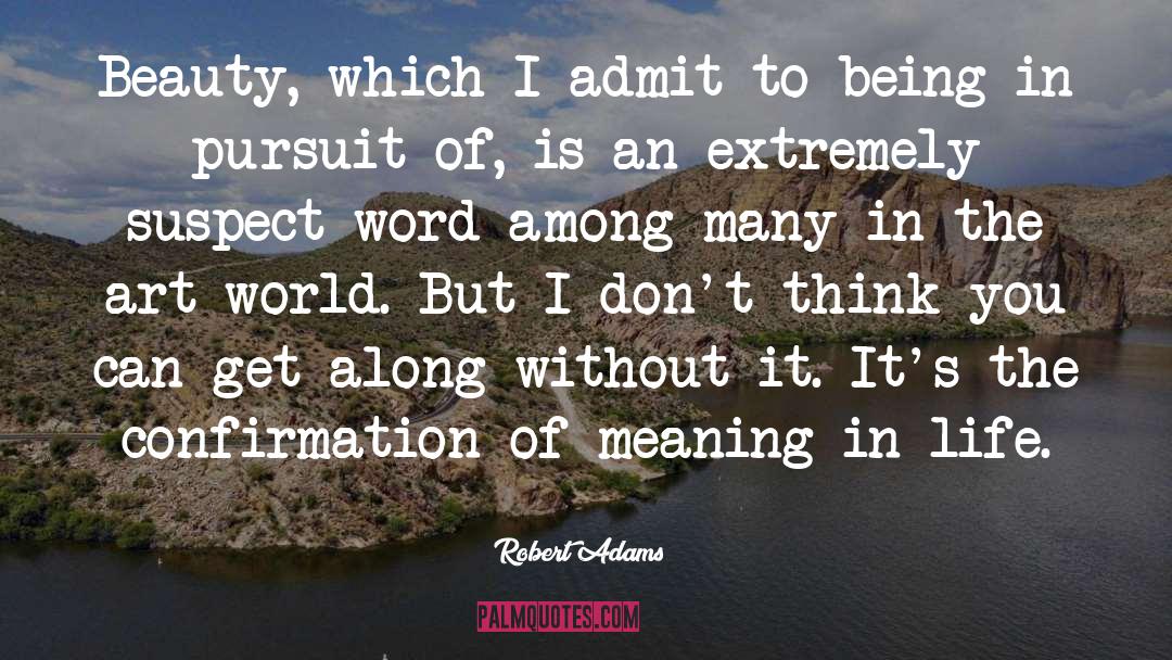 Robert Adams Quotes: Beauty, which I admit to