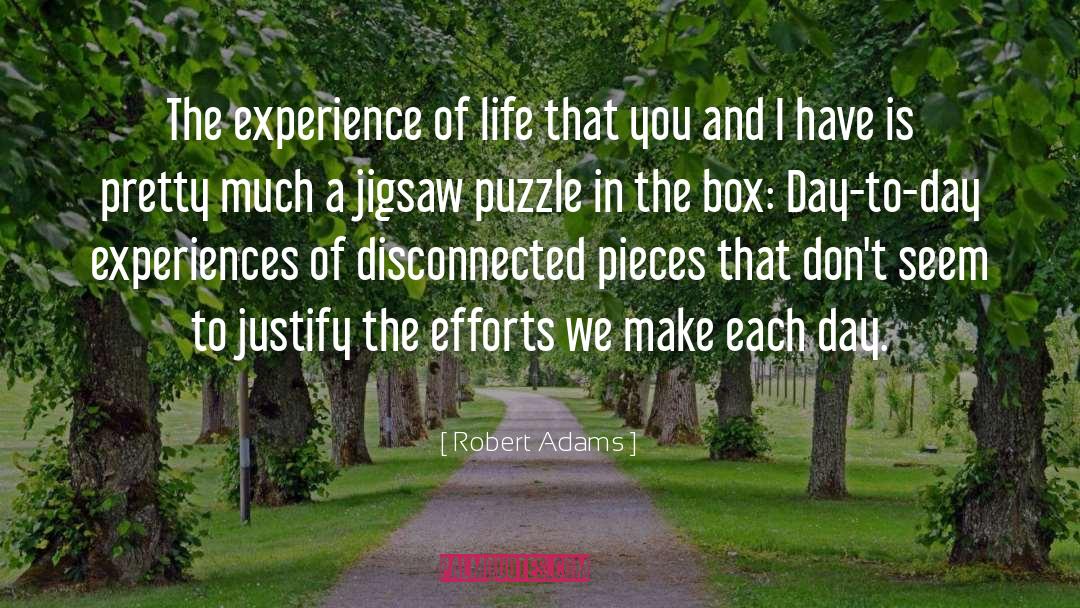Robert Adams Quotes: The experience of life that