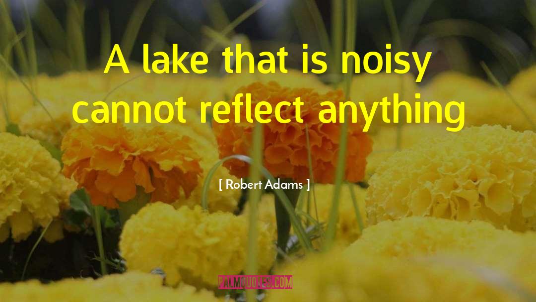 Robert Adams Quotes: A lake that is noisy