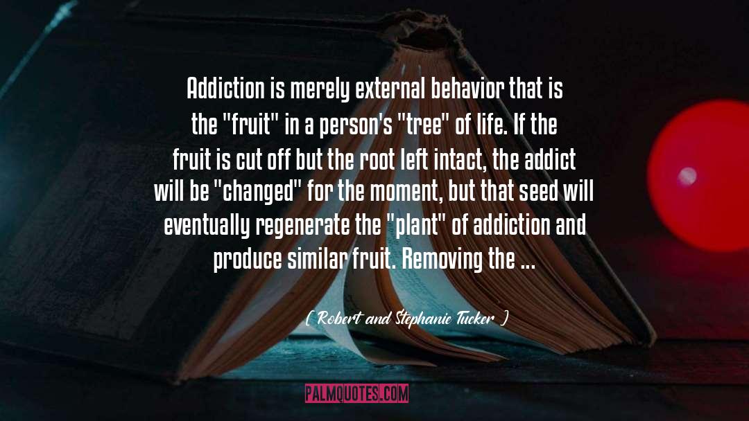 Robert And Stephanie Tucker Quotes: Addiction is merely external behavior