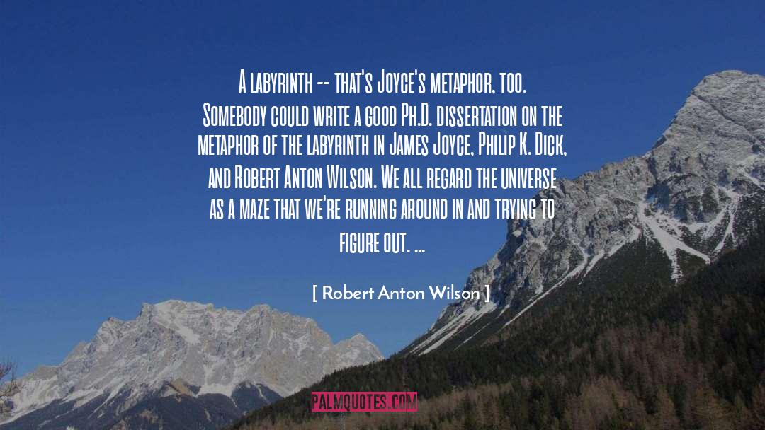 Robert Anton Wilson Quotes: A labyrinth -- that's Joyce's