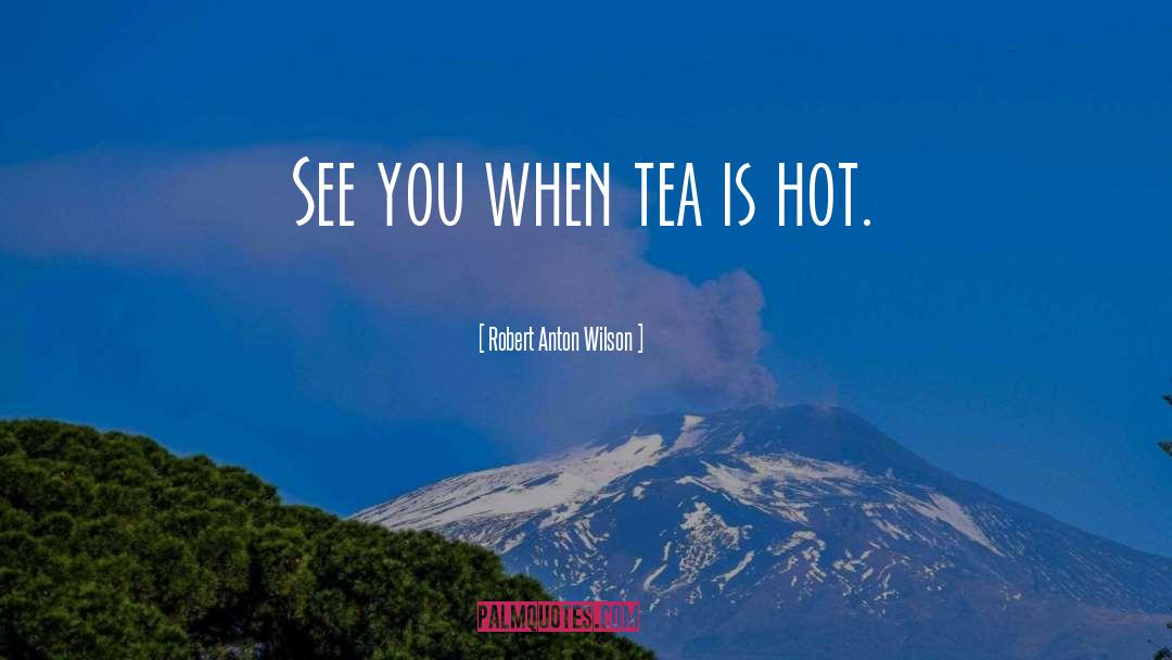 Robert Anton Wilson Quotes: See you when tea is
