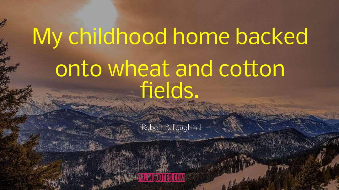 Robert B. Laughlin Quotes: My childhood home backed onto