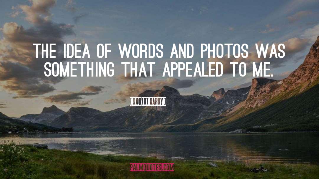 Robert Barry Quotes: The idea of words and
