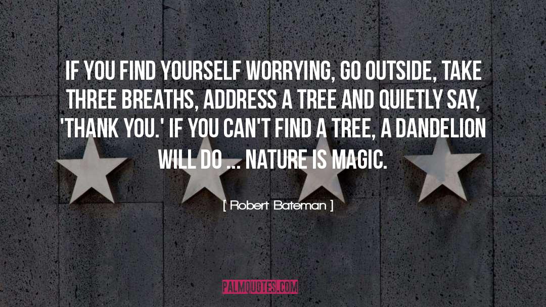 Robert Bateman Quotes: If you find yourself worrying,