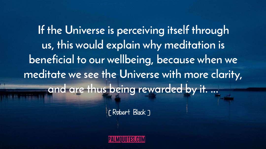Robert  Black Quotes: If the Universe is perceiving