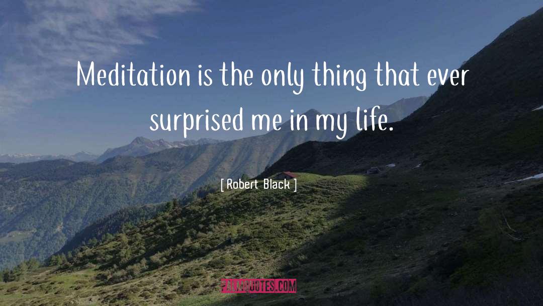 Robert  Black Quotes: Meditation is the only thing
