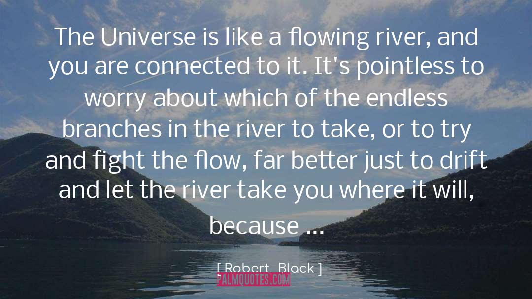 Robert  Black Quotes: The Universe is like a
