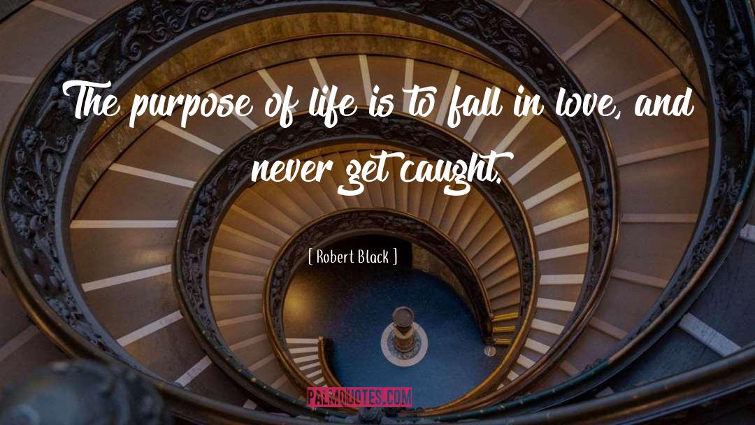 Robert  Black Quotes: The purpose of life is