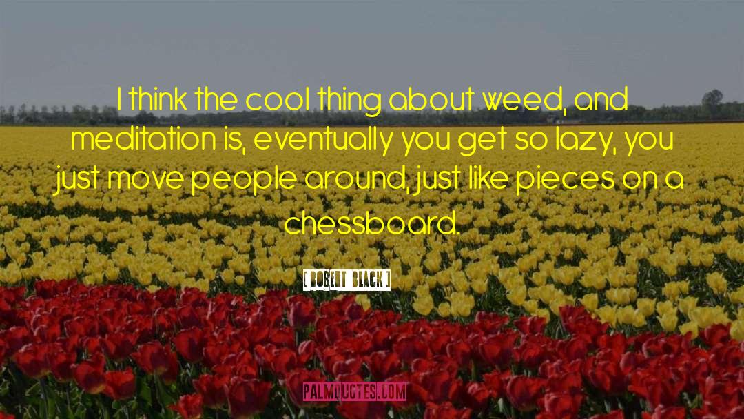 Robert  Black Quotes: I think the cool thing