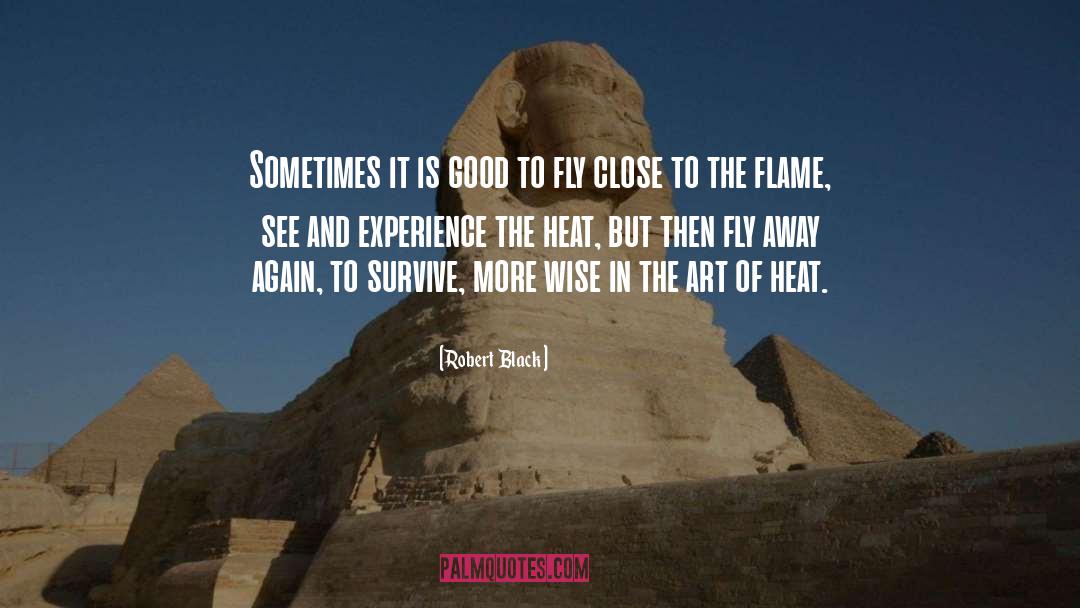 Robert  Black Quotes: Sometimes it is good to